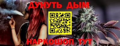 гашик Гуково
