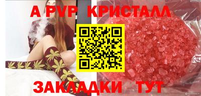 крисы Долгопрудный