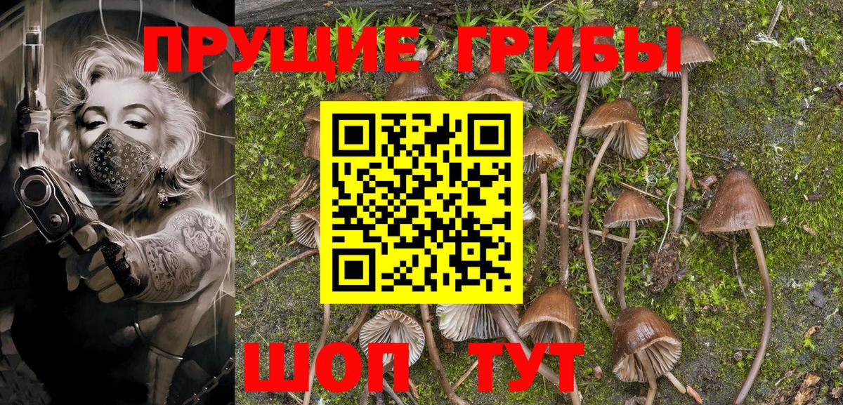 Нижний Новгород  Галлюциногенные грибы MAGIC MUSHROOMS  Вход с VPN 